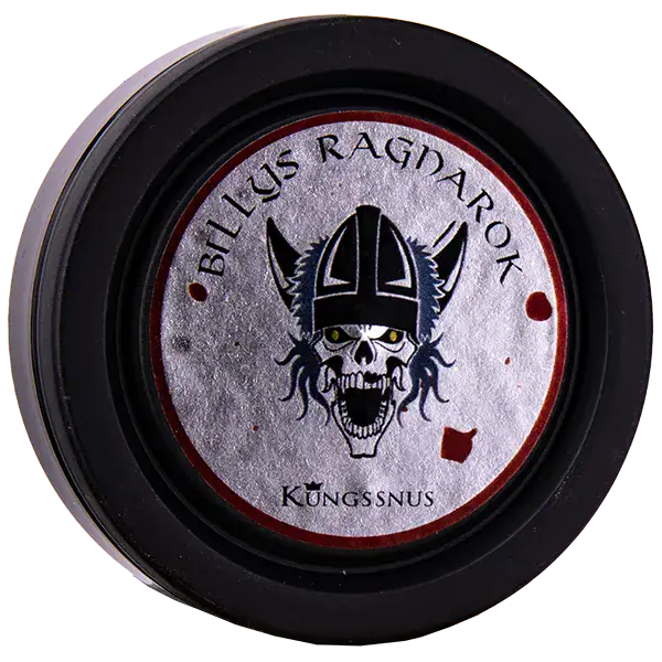 Ragnarök + Tillbehörspaket - Bild 3