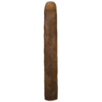 CAO Bella Robusto cigarr