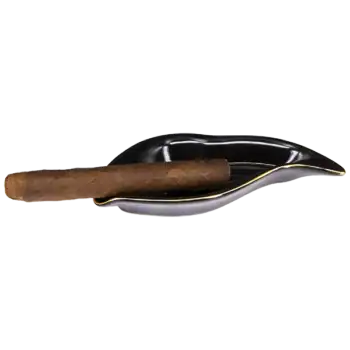 CAO Bella Robusto cigarr