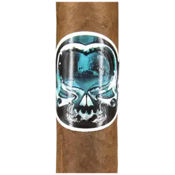 Schizo Robusto Gördel Närbild