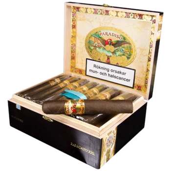 Paradiso Papagayo XXL Cigarr