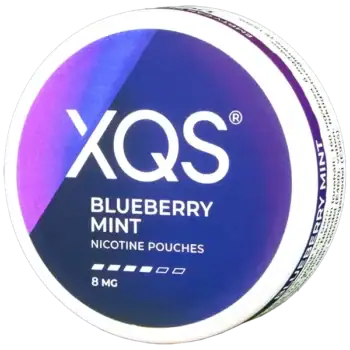 XQS Blueberry Mint 8 mg