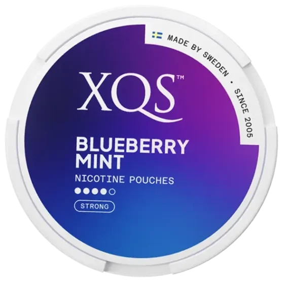 XQS Blueberry Mint Strong portion