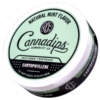 Cannadips Caryophyllene Natural Mint Portionssnus