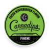 Cannadips Fresh Wintergreen Pinene Terpene Tobaksfri Portion