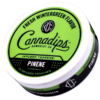 Cannadips Fresh Wintergreen Pinene Terpene Nikotinfri Portion