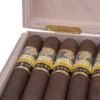 Cohiba Maduro 5 Secretos Cigarr