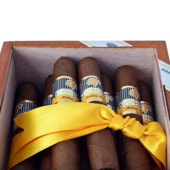 Cohiba Siglo I Cigarrer