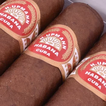 H. Upmann Half Corona cigarr - Köp fraktfritt från oss på Snusfabriken.com