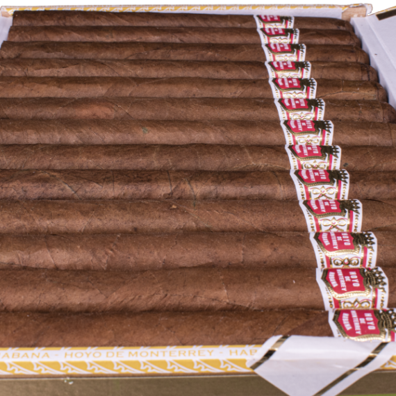 Hoyo De Monterrey Palmas Extra Cigarr