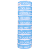 Loop Ice Cool Mint Strong All White Portion