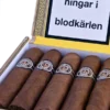 Montecristo Media Corona