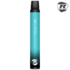 REV POD Cool Mint 10 mg - Vape enheten.