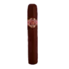 Ramón Allones Specially Selected cigarr