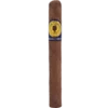 Santa Damiana Tubulares Extra cigar standing fotografi