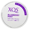 XQS Blueberry Mint Functional Pouches