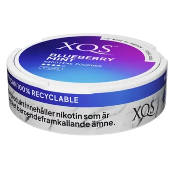 XQS Blueberry Mint Strong portion