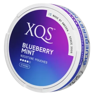 XQS Blueberry Mint Strong portion