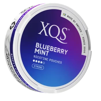 XQS Blueberry Mint Strong portion