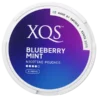 XQS Blueberry Mint Strong portion