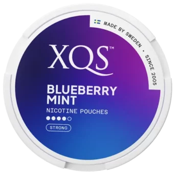 XQS Blueberry Mint Strong portion