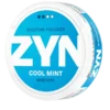 ZYN Mini Dry Cool Mint Portion