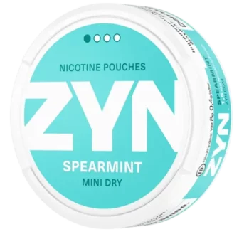 ZYN Mini Dry Spearmint Portion