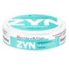 ZYN Mini Dry Spearmint Portion