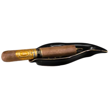 Perdomo 10th Anniversary Robusto Connecticut