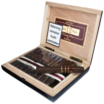 Rocky Patel Vintage 1990 Robusto