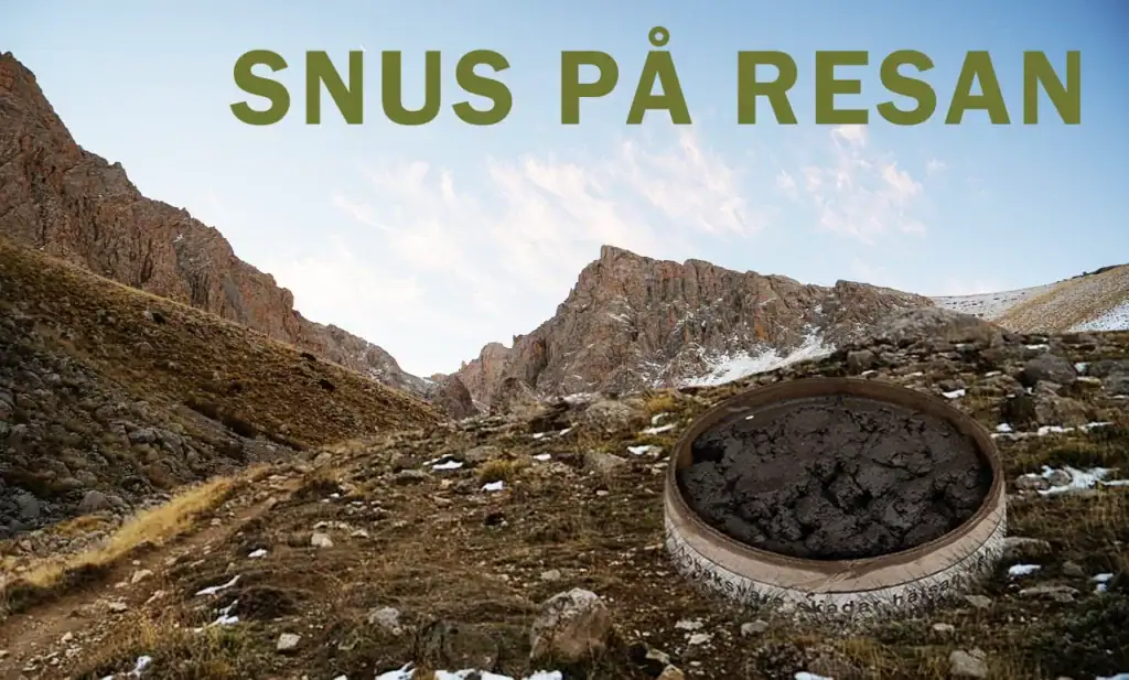 Snus på resan – vad gäller i olika länder?