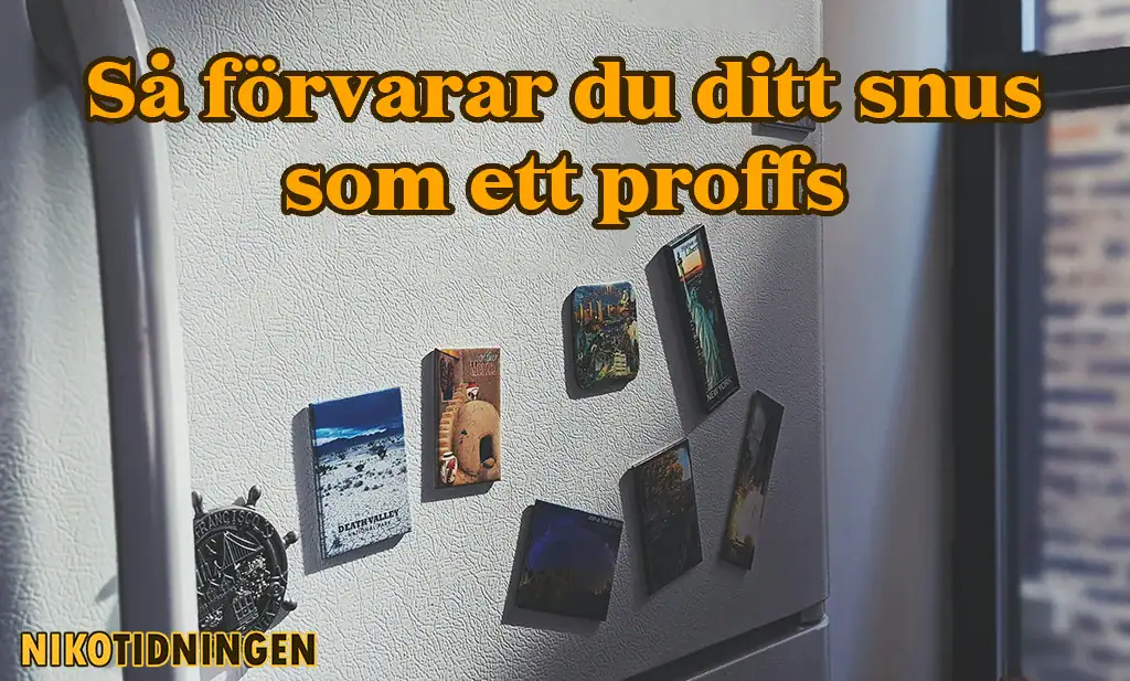 Så förvarar du ditt snus som ett proffs