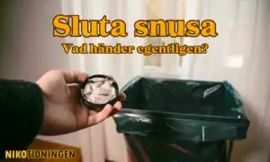 Sluta snusa - Vad händer egenteligen?