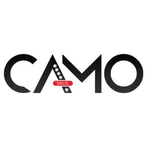 CAMO Logo