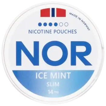 NOR Ice Mint 10 mg