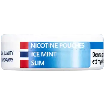 NOR Ice Mint 10 mg