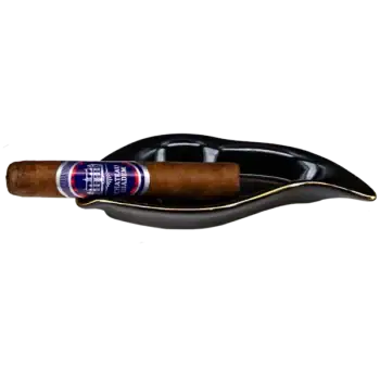 Chateau Diadem Robusto CIgarr