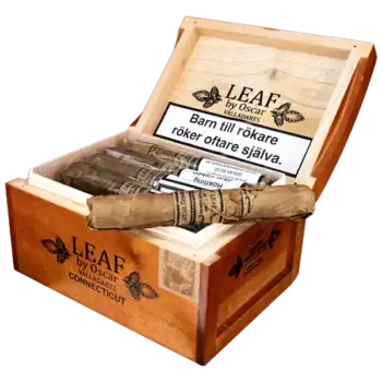 Leaf by Oscar Connecticut Toro