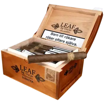 Leaf by Oscar Sumatra Toro